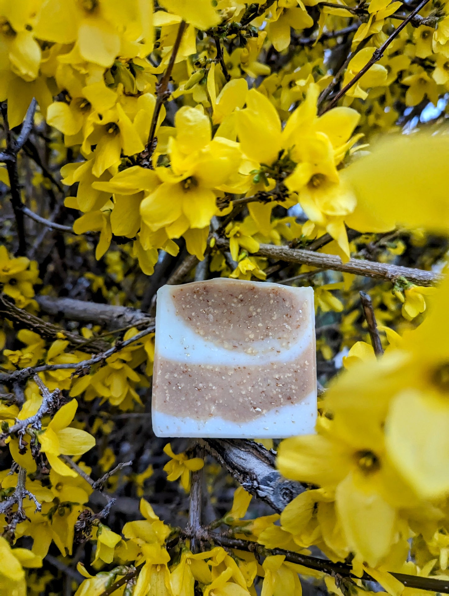 Oatmeal & Honey (Fragrance Free)(Soap)