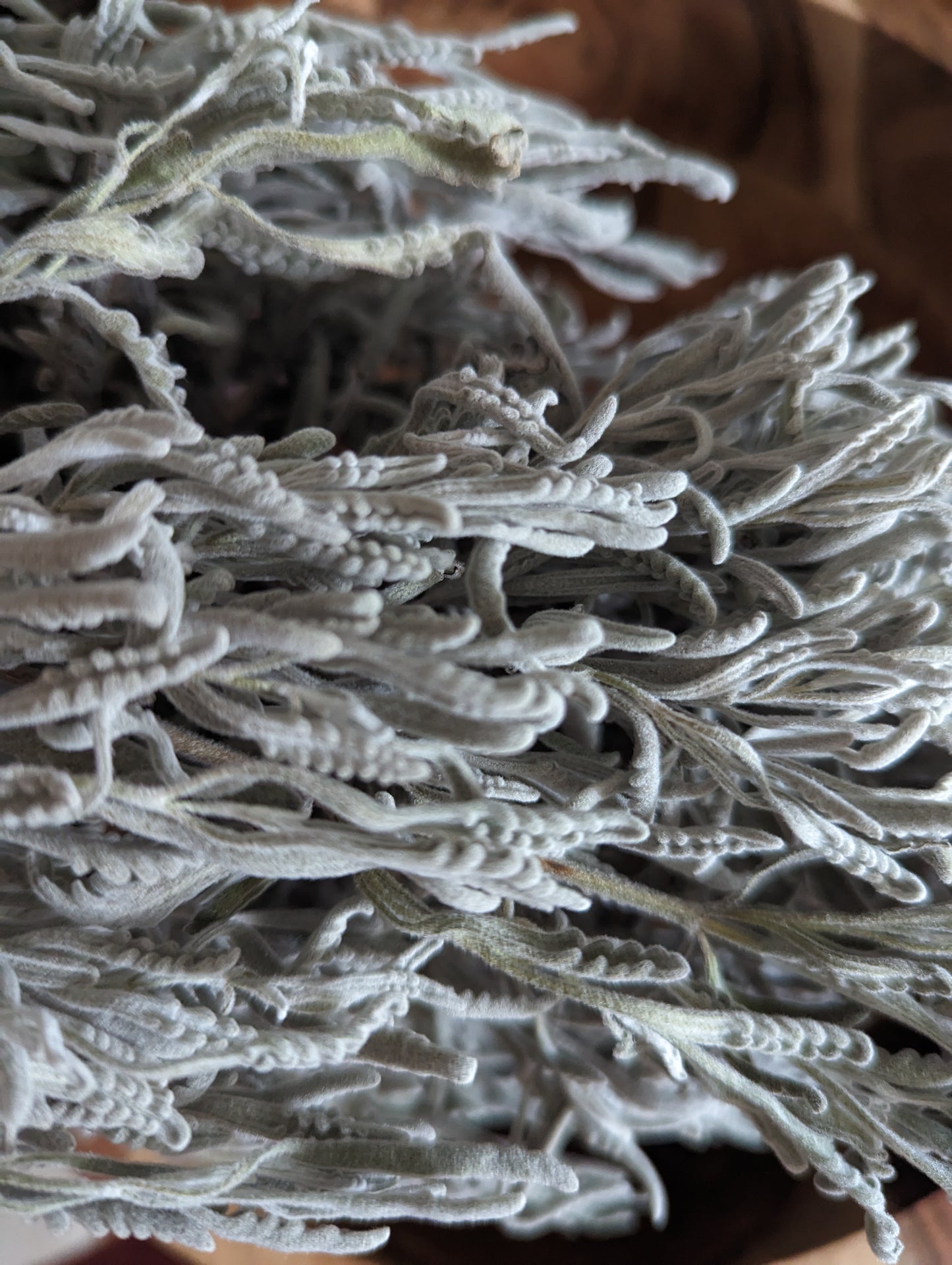 Be Kind ( Special Edition Serum )